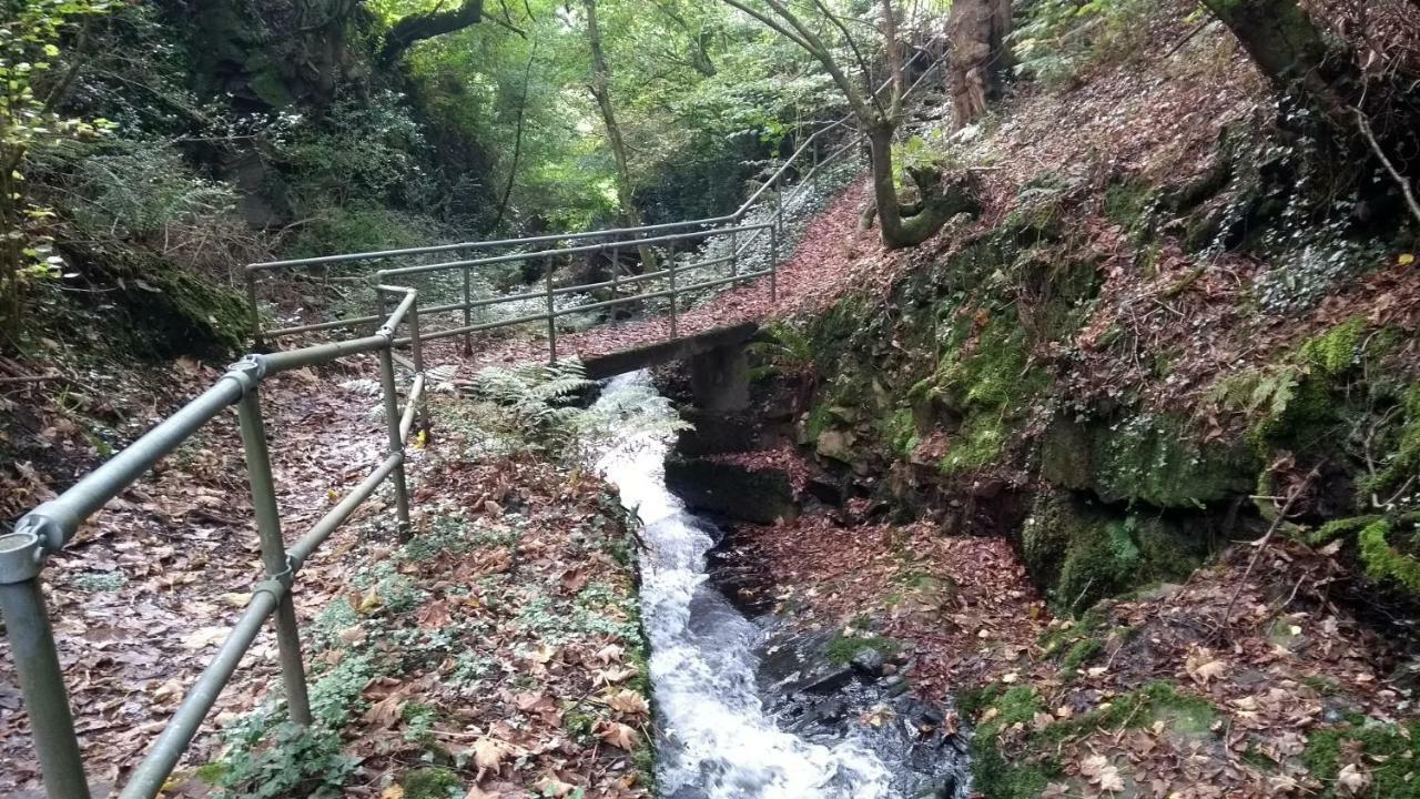 Graig * Swansea